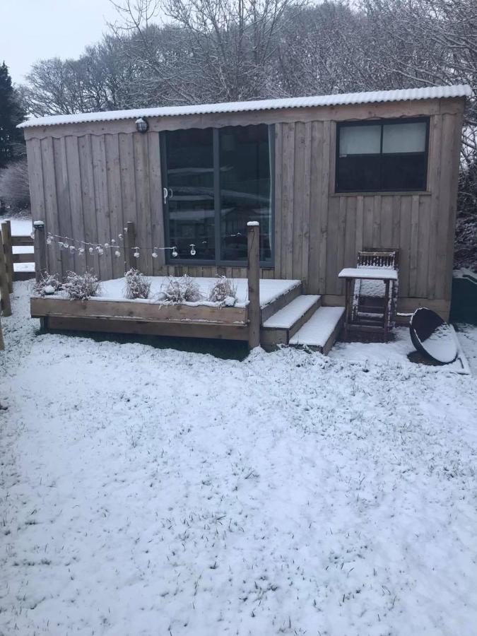 Cefn Crib Cabins マカンスレス エクステリア 写真