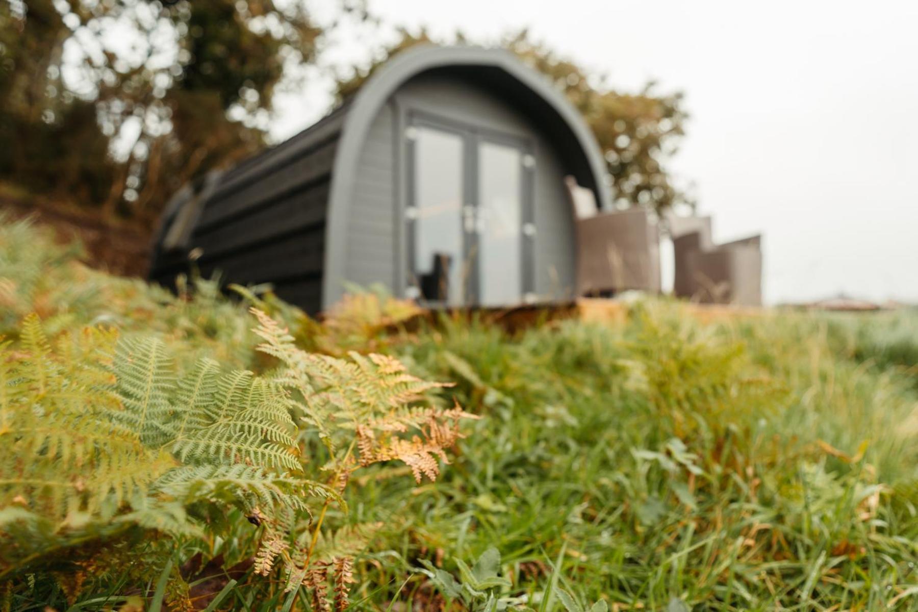 Cefn Crib Cabins マカンスレス エクステリア 写真